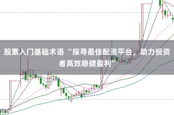 股票入门基础术语 “探寻最佳配资平台，助力投资者高效稳健盈利”