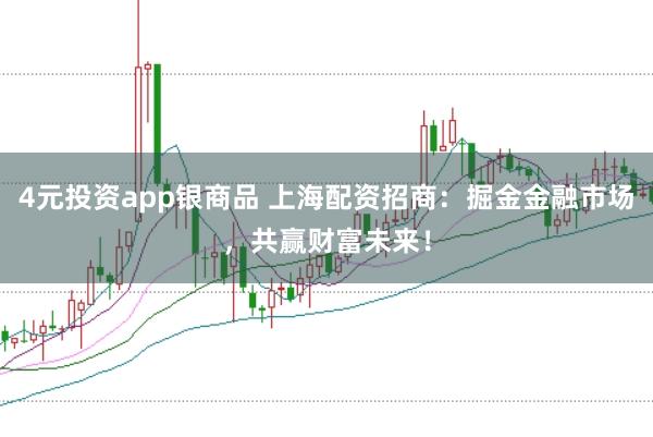 4元投资app银商品 上海配资招商：掘金金融市场，共赢财富未来！