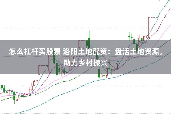 怎么杠杆买股票 洛阳土地配资:盘活土地资源,助力乡村振兴