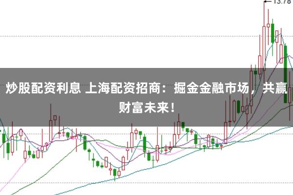 炒股配资利息 上海配资招商:掘金金融市场,共赢财富未来!