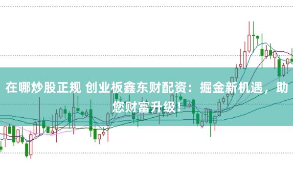 在哪炒股正规 创业板鑫东财配资:掘金新机遇,助您财富升级!