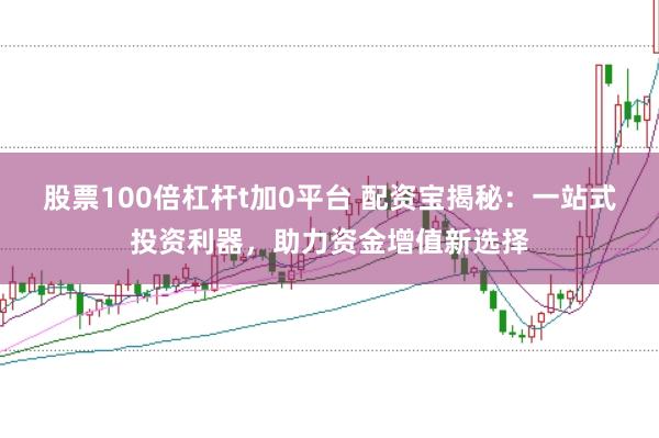 股票100倍杠杆t加0平台 配资宝揭秘：一站式投资利器，助力资金增值新选择