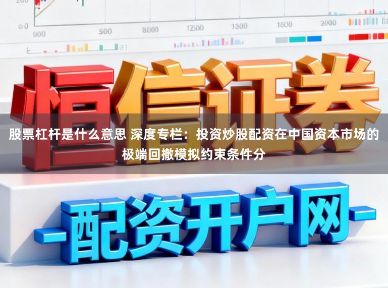 股票杠杆是什么意思 深度专栏：投资炒股配资在中国资本市场的极端回撤模拟约束条件分