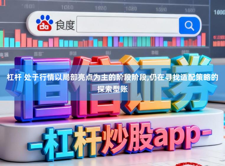杠杆 处于行情以局部亮点为主的阶段阶段，仍在寻找适配策略的探索型账