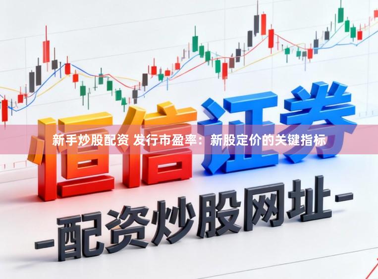 新手炒股配资 发行市盈率：新股定价的关键指标